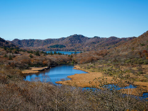 秋の山と湿原