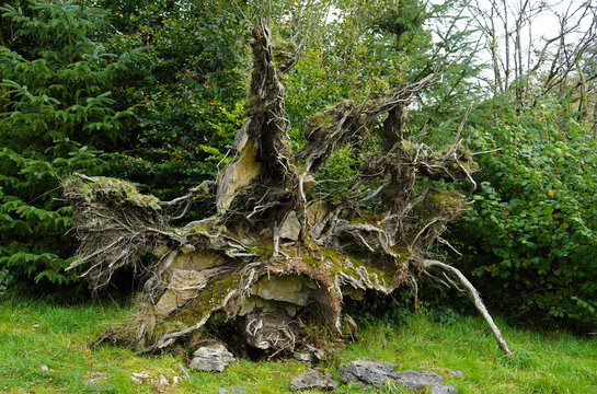 Cavan Burren Park