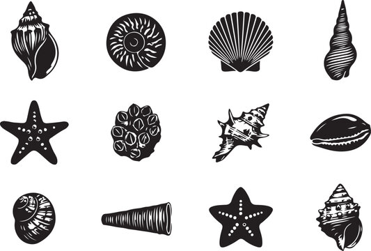 Sea shell sink engraving monochrome set. Ocean exotic underwater seashell conch aquatic mollusk, sea spiral snail marine starfish collection. design Vector black silhouette