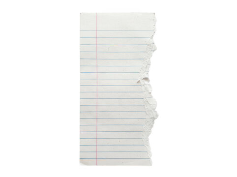 Vertical strip of torn lined paper with red margin line isolated on transparent background