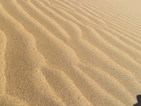 Fine sand patterns on a sunlit dune