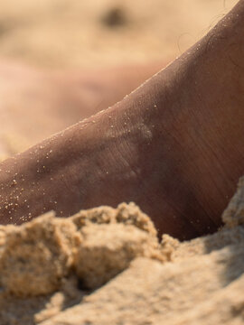 Close up of a camel resting on desert sand