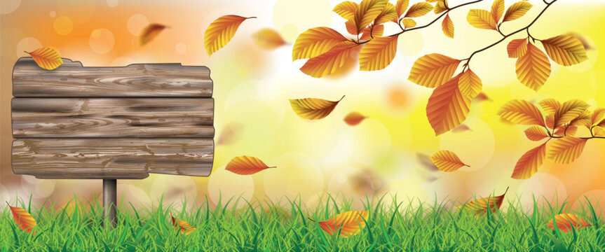 Autumn Beech Foliage Sunlights Grass Wooden Sign