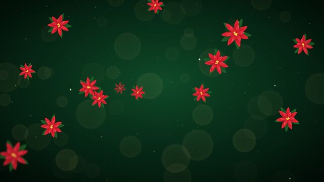Animated video clip of red poinsettias falling gently against a dark green bokeh background with subtle sparkling lights