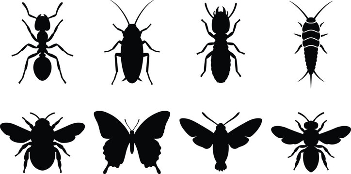 Insect and Bug Silhouette Set - Black vector collection of household pests, flying bugs, ants, bees, and butterflies for nature design projects.