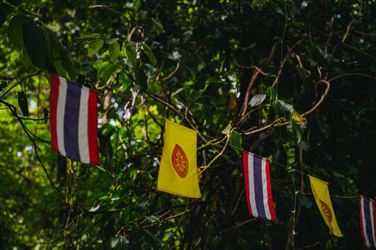 Row of Thai national flags and Buddhist flags hanging among green trees and jungle vines for a traditional ceremony.