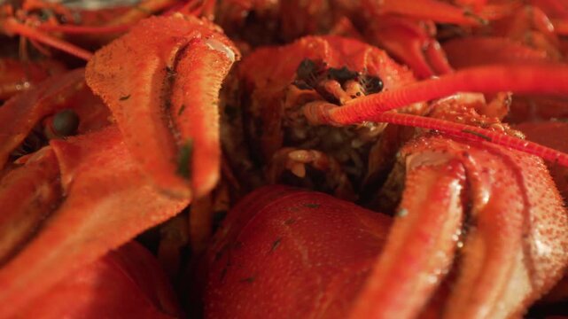 Freshly cooked red crayfish piled together in cinematic macro close up shot.
