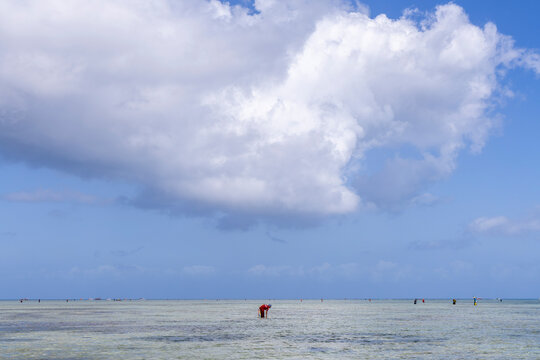 Lone woman in a red dress bending over in the shallow sea at low tide to collect shells under a huge white cloud with tiny figures on the distant horizon, Nungwi, Tanzania