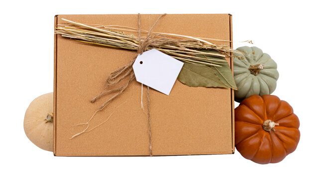 Cardboard gift box with pumpkins on transparent background isolated png file for autumn seasonal branding project