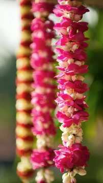 fresh pink rose petals and jasmine mogra flower garland, auspicious phool mala arrangement for Diwali Navratri Durga Puja and Ganesh Chaturthi, fragrant mogra and gulab garland string used