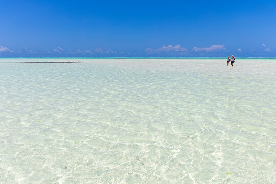 Two tourists wading through shallow turquoise water at low tide with a seaweed farm in the distance beneath a deep blue sky on a vast sandy lagoon, Jambiani, Tanzania