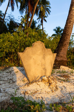 Weathered concrete grave marker shaped like a shield standing on white sand among coconut palms and green bushes in warm golden evening light, Jambiani, Tanzania