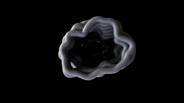 Abstract 3D Organic Wave Tunnel Loop Animation on Black Background