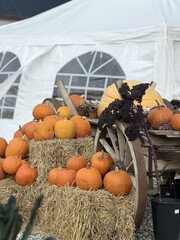 Pumpkins arranged on hay bales and wooden cart © Yuliia