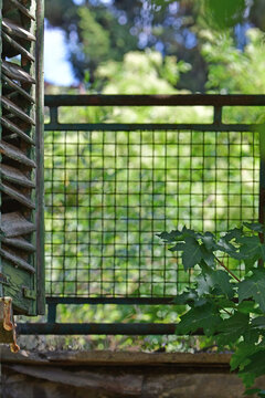 old abandonned garden hidden behind a grid
