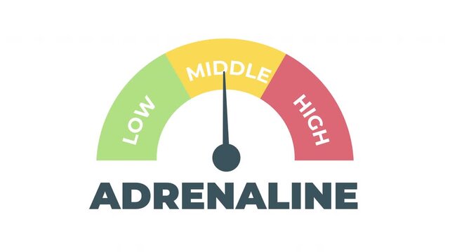 Adrenaline level meter animation showing rising and falling adrenaline hormone levels, health monitoring and stress response concept.