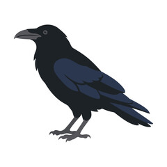 Fototapeta premium Black raven bird silhouette standing in profile Vector