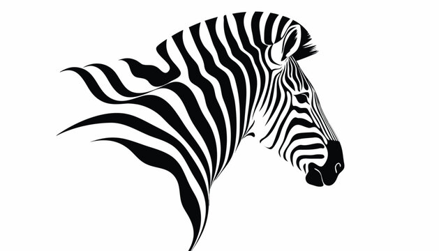 zebra vector illustration