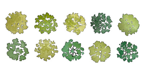 Set of watercolor trees in plan view for use in architectural drawings - isolated on transparent background © Manon