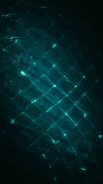 Glowing interconnected nodes on dark liquid surface with connection technology abstract structure interconnected visualization innovation bioluminescence communication background internet