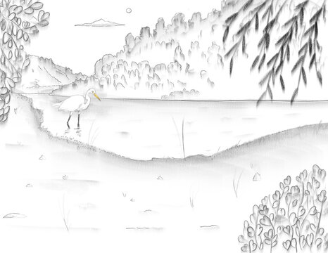 Dibujo del sur de Chile en Blanco y negro
