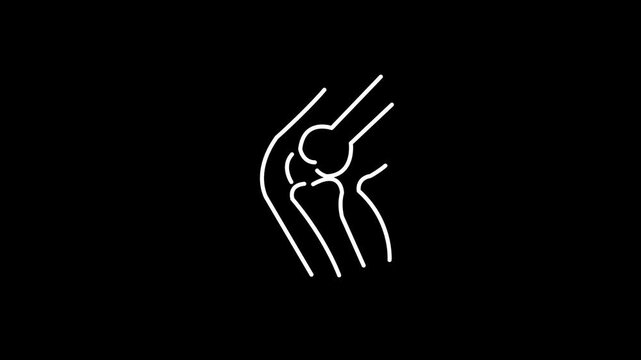 Human Knee Joint Anatomy Line Art Animation on Black Background for Medical Education