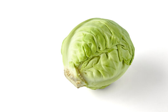 Single Fresh Head of Green Cabbage Isolated on White
