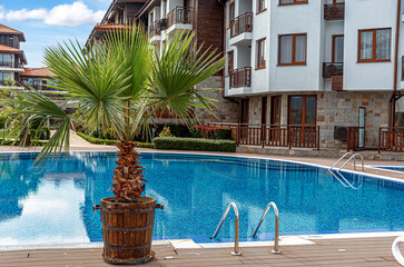 Fototapeta premium A small palm tree in a wooden pot stands next to a blue swimming pool in front of a modern hotel complex.