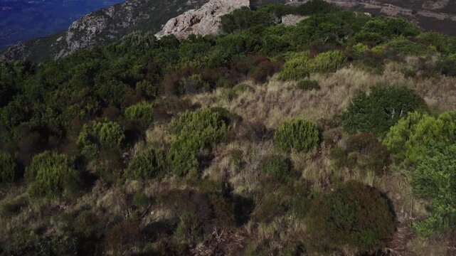Pevani, Corse du Sud, vue a&eacute;rienne de drone