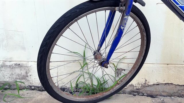 Static close-up shot of rusty abandoned bicycle wheel overgrown with weeds in daylight