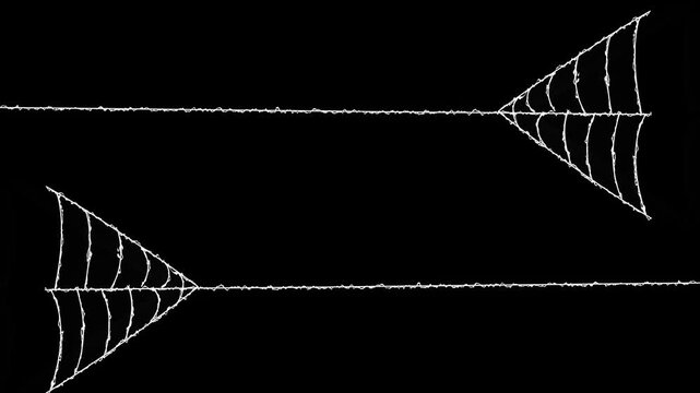 Animated spider web expansion effect with flexible elastic silk strands, flexible elastic silk strands, pulsing cobweb motion graphic,black background video,4k animation