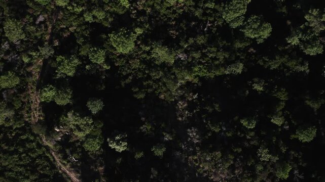 Sarrola-Carcopino, Corse du Sud, vue a&eacute;rienne de drone