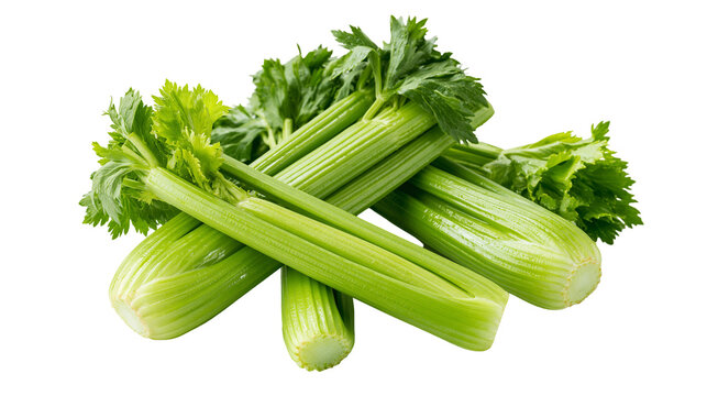 Fresh green celery stalks with leafy tops