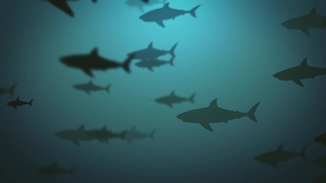 Silhouettes Of Sharks In The Ocean Swimming Squales Background
Animation background of swimming sharks silhouettes into underwater ocean with depth of field