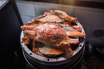 Freshly steamed male Blue swimming crabs cooked to a bright orange red color with rich tomalley overflowing in home kitchen steamer pot with steam rising serving authentic rustic seafood flavors. © Panupong