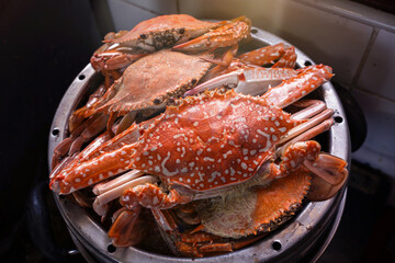 Freshly steamed male Blue swimming crabs cooked to a bright orange red color with rich tomalley overflowing in home kitchen steamer pot with steam rising serving authentic rustic seafood flavors. © Panupong