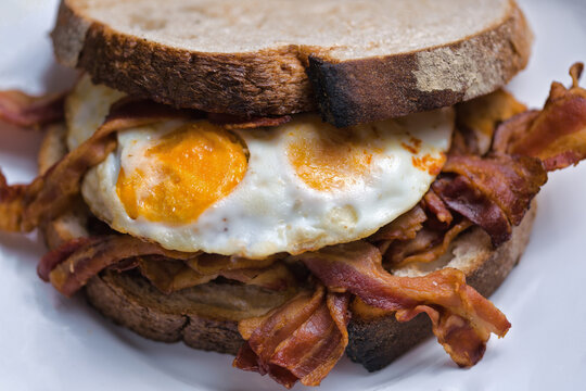 breakfast bacon and eggs sandwich