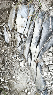 Layered sedimentary rocks, limestone with mineral veins , calcite, weathered, crumbling clay shale,argillite, that have undergone weathering and fracturing.