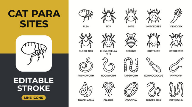 Cat parasite line icon collection featuring fleas, ticks, mites, worms, infestations, veterinary healthcare, editable stroke vectors. 