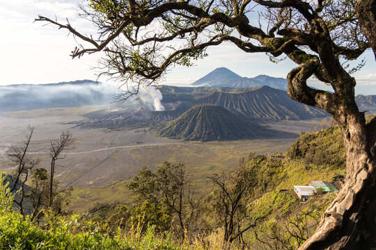 Mount Bromo volcano at sunrise, viewed from King Kong viewpoint in Bromo Tengger Semeru National Park, East Java, Indonesia. Active crater smoke, Mount Semeru cone, clouds, and vast ash plain.
