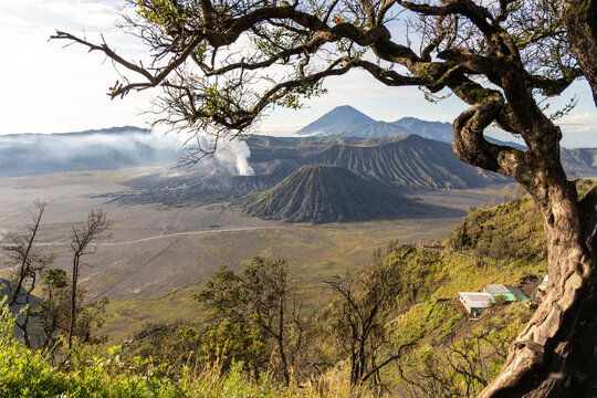 Mount Bromo volcano at sunrise, viewed from King Kong viewpoint in Bromo Tengger Semeru National Park, East Java, Indonesia. Active crater smoke, Mount Semeru cone, clouds, and vast ash plain.