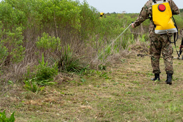 Worker in camouflage clothing and backpack sprayer watering vegetation in a rural field © Matico