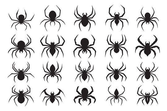 Black Spider Silhouettes Set, Creepy Arachnid Icons for Halloween and Horror Designs. Collection of Black Spider Silhouettes Isolated on White Background. Halloween icon.
