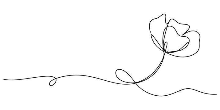 Minimalist single continuous line drawing of a simple flower with a long curvy stem for artistic botanical design and modern creative wall art decor isolated on transparent background