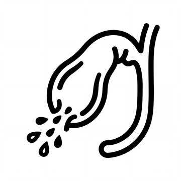 Gallbladder medical line icon showing bile secretion