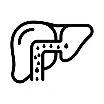 Liver and gallbladder anatomy line icon on white background
