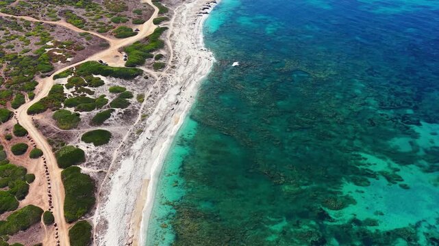  Scenic aerial drone flight landscape of Is Arutas beach, Oristano, Sardinia, Italy