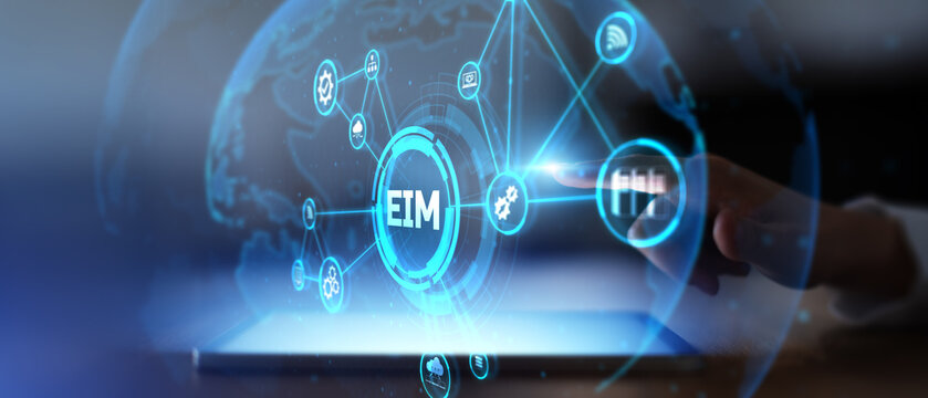 EIM Enterprise Information Management for Business Data Integration and Process Optimization