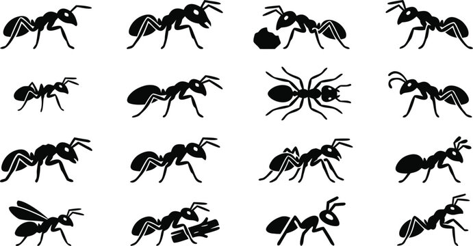Ant set icons for insect colony and pest control designs