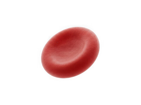 Red blood cell floating isolated on transparent